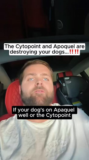 6.6K views · 66 reactions | Notice your pup scratching, licking their...