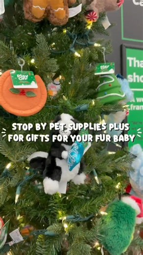 Humane Society of Charlotte on Instagram: "A message from Shelter Sponsor, Pet Supplies Plus: They give us so much love all year long — now it’s their turn to be treated! 🎁🐕🐈 Stop by Pet Supplies Plus and find the perfect gift for your furry family. #GiftJoy #PetSuppliesPlus"