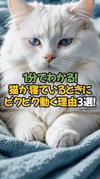 【驚きの真実】猫が寝ているときにピクピク動く理由3選！🐾1分で解説！