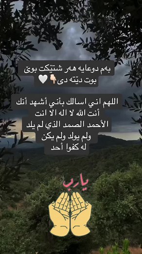 ‏#🕊️📖🤍🤲🏻🍃🩶