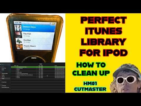 How to Fix Metadata in iTunes to Get the PERFECT iPOD Library | Album Artwork, No Doubles etc.
