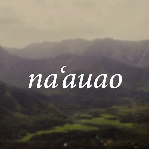 Hawaiian Word of the Week: Na‘auao