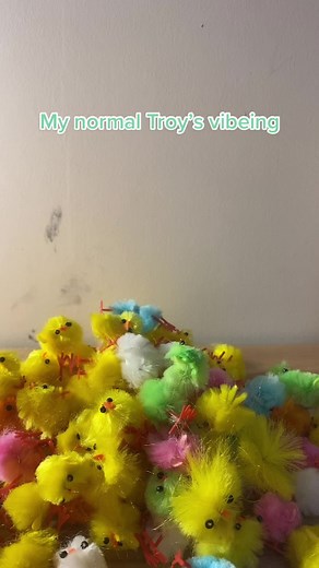 A Day in the Life of Troy: Chickens, Slaying, and Vibeing