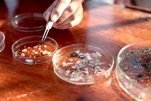 Déterminer les origines de la pollution plastique dans l'Océan