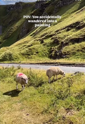 Now I understand why poets never shut up about the hills ⛰️ There’s something about standing here that makes you feel small, in the best way. Not the kind of small that makes you feel insignificant, but the kind that reminds you the world is so much bigger than your worries. For a moment, it all fades and none of it feels as overwhelming as it did before. 📍Winnats Pass, Castleton, Peak District, UK #WinnatsPass #PeakDistrict #Yorkshire #Derbyshire #UKTravel