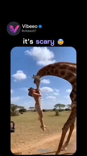 vibeeo | This viral video shares a giraffe playfully lifting and "kidnapping" a toddler from a safari truck before a chase ensues, garnering over... | Instagram