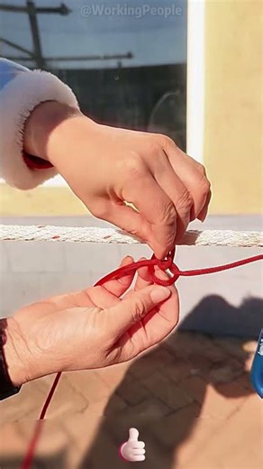 Windproof Clothesline Knots 🪢💨 Never Slip Off Again!