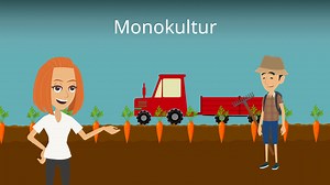 Monokultur • einfach erklärt, Merkmale