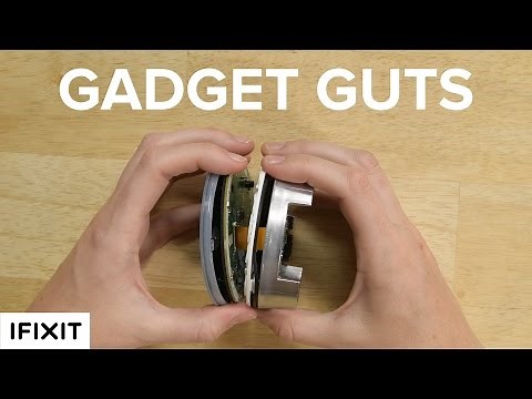 Gadget Guts: Amazon Echo Dot (2nd Generation)