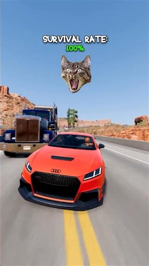 Which Vehicle Survives? BMW vs Audi vs Tesla vs Ford vs Jeep! #beamng #beamngdrive #beamngrao #cars