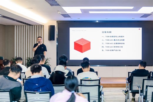 TiDB 稳定性的提升 & v8.5 新特性全解析