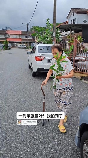 好！拍下证据！ 到家没见到她跟着进门 走出门来望东望西找她 见到一个人偷偷到了隔壁家，偷叶！ #阿當 #Adam #微笑の天使 #做个有价值的人 #服务总监 #殯葬業の日常 | Sam Sam