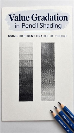 Pencil Shading Gradation✏️Light to dark. #sketch #pencildrawing