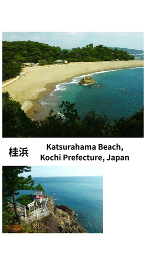 桂浜
