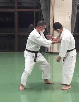 少林寺拳法 相手の力の流れを利用して体勢を崩して倒す研究しました。相棒さんご協力ありがとうございました😊