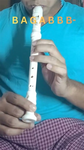 You Learned This Song in School 😄 | Recorder Cover 🎶