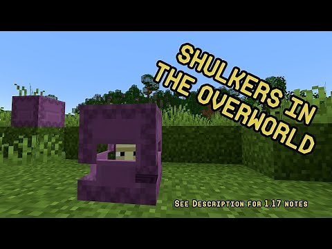 How to get a shulker to the overworld 1.16 (see description for 1.17)