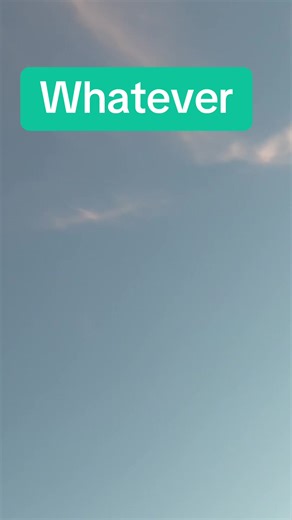 Oasis Live Performance of 'Whatever' at Heaton Park