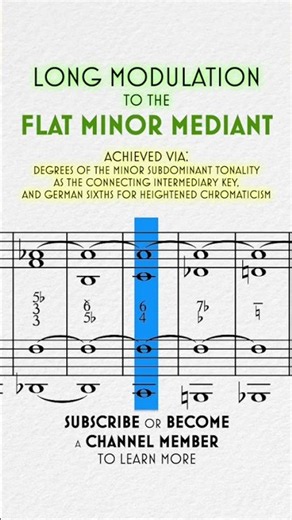 Long Modulation to the Flat Minor Mediant #modulation #musictheory #figuredbass