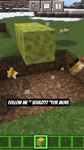 Minecraft puffer fish Short video 😎