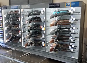 Gun Warden Anti-Theft Firearm Display System