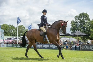 How to win intermediate showing classes | Horse & Hound's expert guide