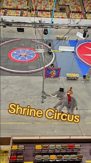 Shrine Circus 2025