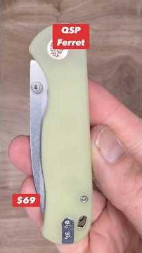 QSP Ferret