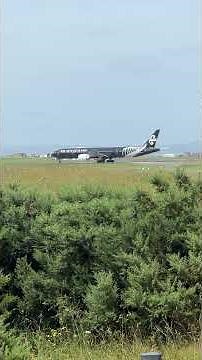 Have You Ever Plane Spotted at the Scenic Lookout Airport Runway in Auckland? Boeing All Black 777