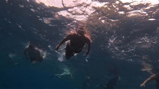 Alain Carine Kenens Dekens on Reels