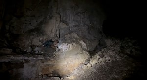 RAW VIDEO: Three New Gecko Species Discovered In Cambodia's Remote Caves