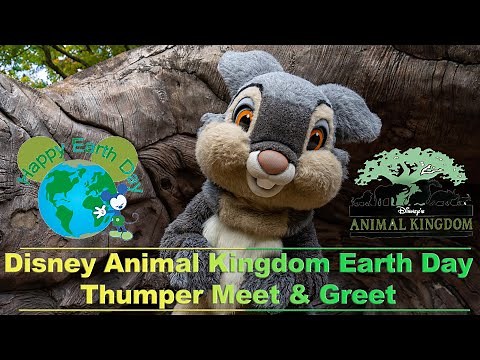 8K Thumper Meet & Greet from Bambi in Disney's Animal Kingdom VR180 3D