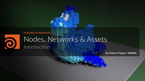 H20.5 Foundations | Nodes, Networks & Assets | Introduction