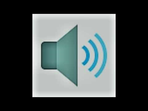 Dolphin Censor Sound Effect