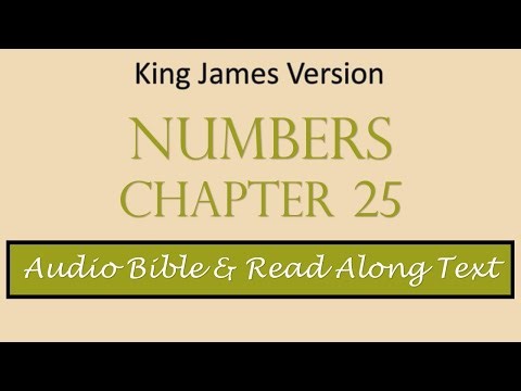 Numbers 25 | KJV DRAMATIZED AUDIO BIBLE WITH TEXT