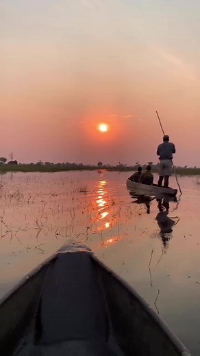 Safari Lodges op TikTok