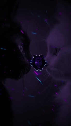 Відео користувача 🎧Meloman🎧Music🎧 (@meloman_muzika) з композицією «оригинальный звук - NEEL»