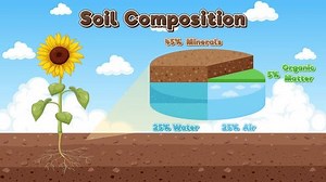 Animated Soil Composition Explainer Video Stock Footage Video (100% Royalty-free) 1101885831 | Shutterstock