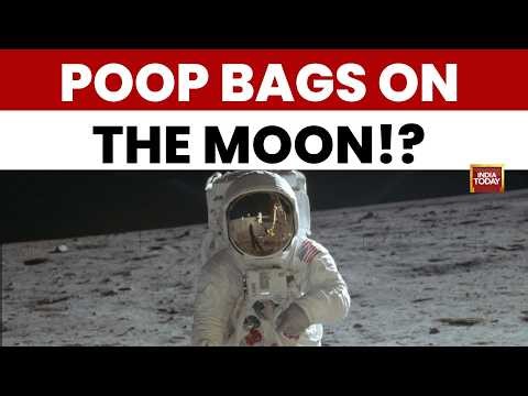 Artemis Moon Mission | Poop Bags, Golf Balls & Photos: What Apollo Astronauts Left on the Moon