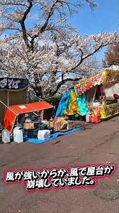 【Travel】I enjoyed the cherry blossoms at Takamatsu Park in Morioka City, Iwate Prefecture. #shorts