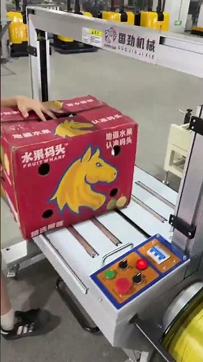 Fruit cartons, easy packing, quick and easy full-automatic packer fruit packer.