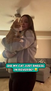 Strangest sneeze ever 😂 👃 | Furry Tails