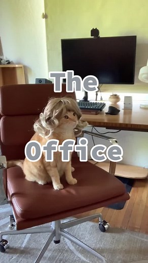 #fyp #dwightandangela #theoffice #impressions #catwig #MotivationMonday