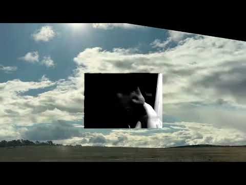 Ruby Fields - Dunny (Official Visualiser)