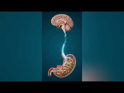 What Happened When You Eat While Using Phone 