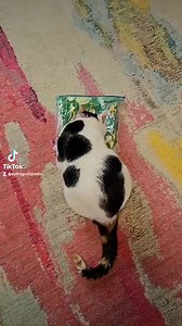 Thackery Binx With Spell Book: Digital Print - Etsy