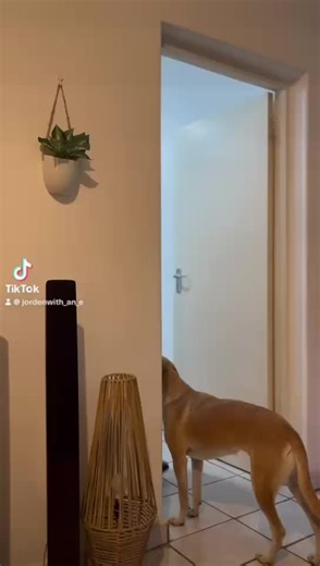 The Consequences of a Controlling Husband in Relationships