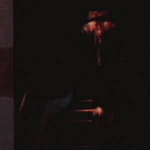 22K views · 498 reactions | playing the long game. out now. https://smarturl.it/PTLGVideo | Panda Bear | Facebook