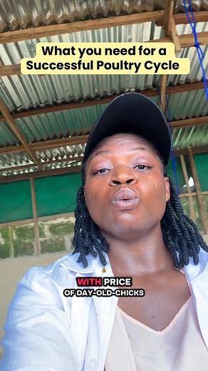 40 reactions · 5 comments | Why do poultry farmers wait to lose birds...