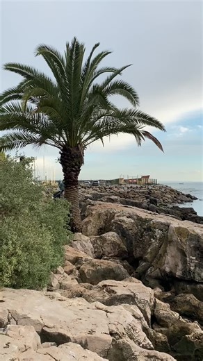 Jessica Vanessa (@jessicavanessa08)’s videos with original sound - victoria elisa